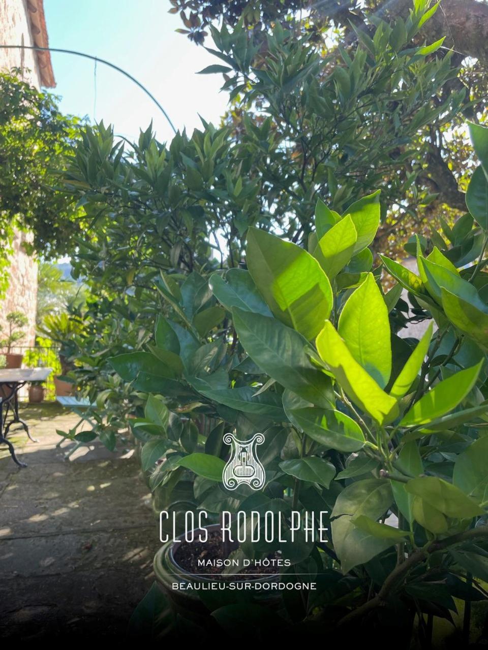 Le Clos Rodolphe Больє-сюр-Дордонь Екстер'єр фото